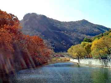 新澳天天开奖资料大全旅游团，玻璃杯机械